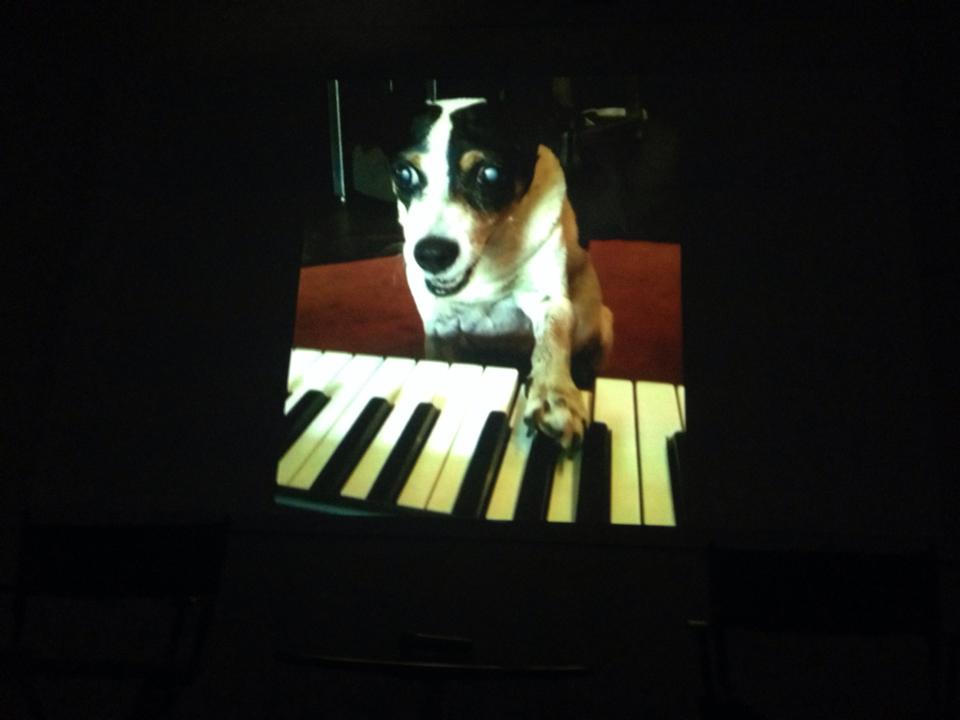 Lolabelle Plays The Piano Laurie Anderson Heart Of A Dog Fresh