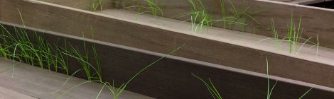 Doris Salcedo