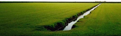 Adam Nadel on Getting the Water Right