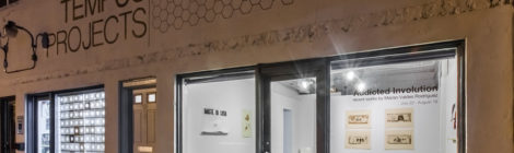 A Creative Hive Transforms Contemporary Art in Tampa